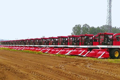 中國(guó)農(nóng)機(jī)院多款產(chǎn)品入選農(nóng)業(yè)農(nóng)村部先進(jìn)適用畜牧養(yǎng)殖機(jī)械裝備，助力畜牧漁業(yè)飼料銷(xiāo)售升級(jí)