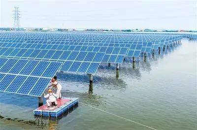 聚焦丨唐山豐南區(qū)“漁光互補(bǔ)”項(xiàng)目顯成效 助推畜牧漁業(yè)飼料銷(xiāo)售增長(zhǎng)