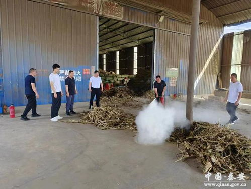 秦安獸藥飼料經(jīng)營(yíng)及牧草加工企業(yè)安全生產(chǎn)督查紀(jì)實(shí)