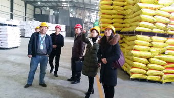 區(qū)畜牧獸醫(yī)局開(kāi)展飼料企業(yè)安全生產(chǎn)節(jié)前大檢查 確保畜牧漁業(yè)飼料銷(xiāo)售安全