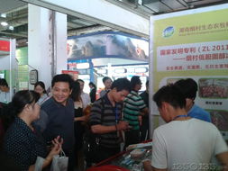 綠葉閃耀第五屆中國(guó)湖南畜牧漁業(yè)暨飼料工業(yè)博覽會(huì)，助推畜牧漁業(yè)飼料銷(xiāo)售創(chuàng)新升級(jí)