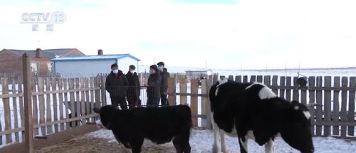 保暖服務(wù)專(zhuān)班提供精細(xì)化服務(wù)，保障漁業(yè)畜牧業(yè)生產(chǎn)安全與飼料銷(xiāo)售