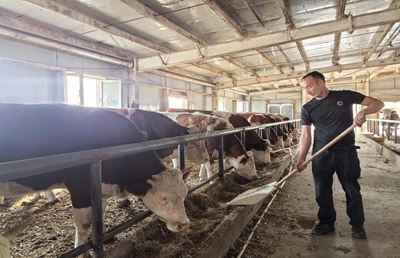 安曉軍 駐村擔當在托克遜鐵提爾村，架起畜牧漁業飼料銷售新橋梁